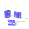 5.5V Potting Module Series (0.47F–2.5F)